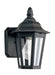 Generation Lighting Brentwood One Light Outdoor Wall Mount Lantern (8822-12)