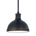 Generation Lighting Pratt Street One Light Pendant (65085-715)