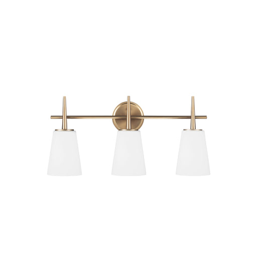 Generation Lighting Driscoll Three Light Wall/Bath (4440403-848)