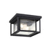 Generation Lighting Hunnington Two Light Outdoor Ceiling Flush Mount (78027-12)