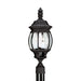 Generation Lighting Wynfield Two Light Outdoor Post Lantern (82200-12)