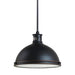 Generation Lighting Pratt Street Two Light Pendant (65086-715)