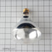 Shat-R-Shield 250R40/HT/CLEAR 250W R40 Incandescent PFA Coated Lamps 2700K (01696W)