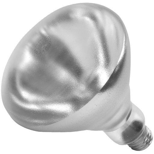 Shat-R-Shield 250R40/HT/CLEAR 250W R40 Incandescent PFA Coated Lamps 2700K (01697W)