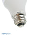 Standard 12V-34V AC/DC 6W LED A19 Bulb CCT 2700K 600Lm Replaces 50-75W A19 Incandescent Bulb (LED-A19/6W/12-34V)