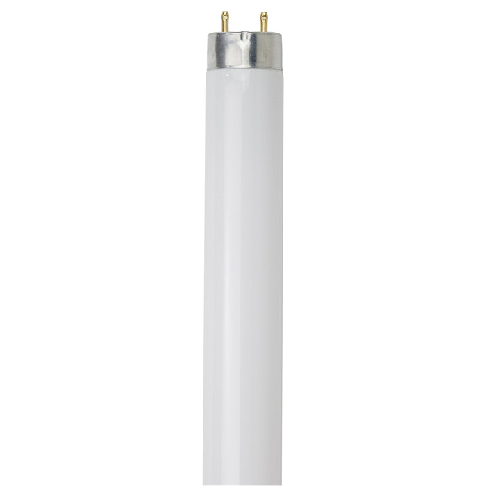 Sunlite F25T8/SP865/30PK 3 Foot High Performance Fluorescent Tube 6500K 25W 2300Lm Medium Bi-Pin (G13) Non-Dimmable (30159-SU)