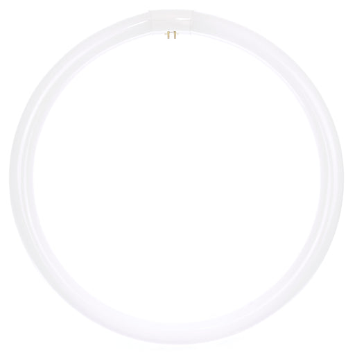 Sunlite FC16T9/CW Fluorescent 4100K 40W 2600Lm T9 G10Q (4 PIN) Non-Dimmable (05021-SU)