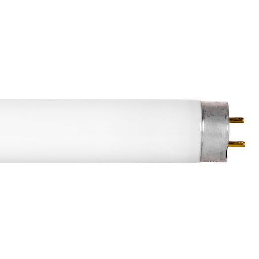 Sylvania FO32850XPXLECO3 32W 48 Inch T8 Fluorescent 5000K 2950Lm 81 CRI Medium G13 Bi-Pin Base Dimmable Tube (22002)