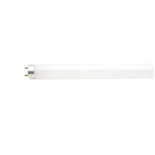 Sylvania 22137 - Straight T8 Fluorescent Tube