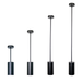 Topaz CLSP-20PCS-BK LED Pendant Or Surface Cylinder 4 Inch Power/CCT Selectable 12W/16W/20W 2700K/3000K/3500K/4000K/5000K 120-277V 90 CRI Black (TX4021)