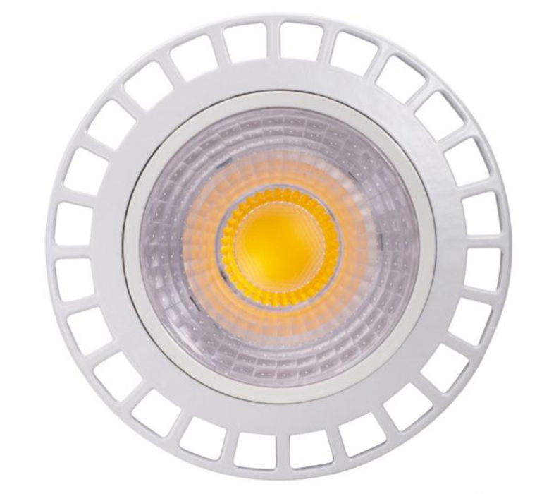 Topaz LP38-29-950-FLUNV LED PAR38 Flood Medium E26 Base 29W 5000K 2700Lm 40 Degree Beam Angle 90 CRI Dimmable 120-277V 250W Equivalent (T73416)