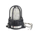 Federal Signal LED Light Hazardous Location UL And CUL CID2 Surface Mount 277Vac Clear (191XL-S277C)