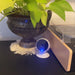 Feit Electric Indoor HD Smart Wi-Fi Camera (CAM1/WIFI)