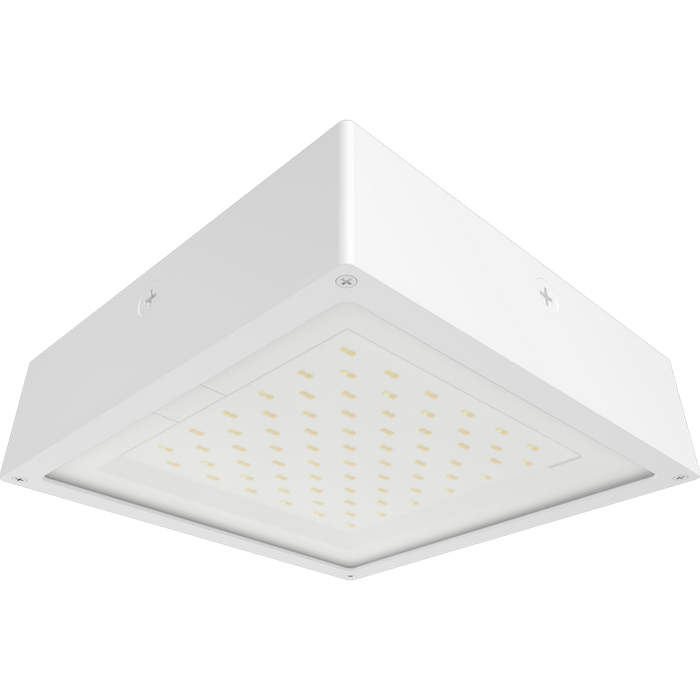 RAB VAN34 Canopy Light Wattage/CCT Selectable 60W/50W/40W 3000K/4000K/5000K 120-277V 0-10V Dimming Flat Clear Lens Battery Backup White (VAN34-60FW/E)