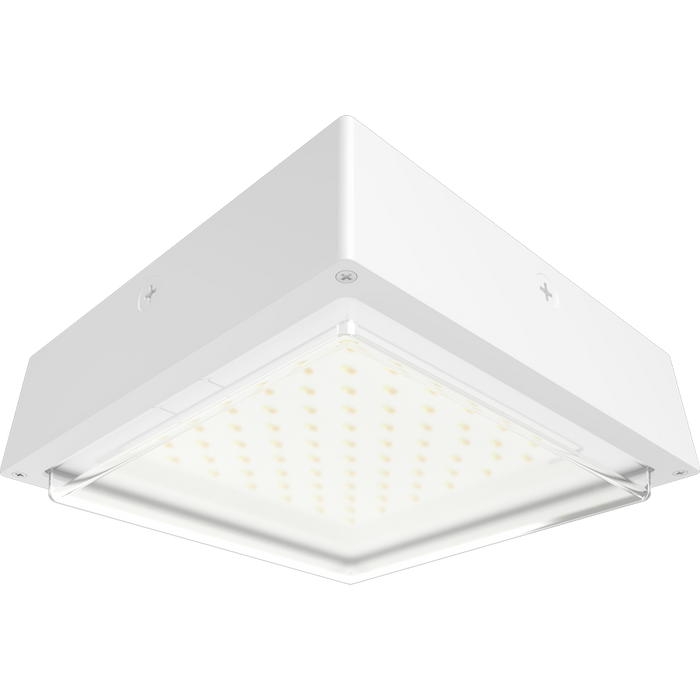 RAB VAN34 Canopy Light Wattage/CCT Selectable 30W/20W/10W 3000K/4000K/5000K 480V 0-10V Dimming Drop Clear Lens White (VAN34-30W/480)