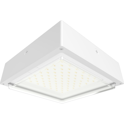 RAB VAN34 Canopy Light Wattage/CCT Selectable 60W/50W/40W 3000K/4000K/5000K 120-277V 0-10V Dimming Drop Clear Lens Battery Backup White (VAN34-60W/E)