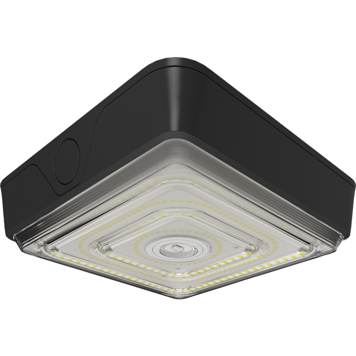 RAB VAN LED Garage/Canopy Fixture Wattage/CCT Selectable 40W/30W/20W 3000K/4000K/5000K Adjustable Optics 120-277V Bronze (VAN40)