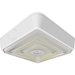RAB VAN LED Garage/Canopy Fixture Wattage/CCT Selectable 40W/30W/20W 3000K/4000K/5000K Adjustable Optics 480V White (VAN40W/480)