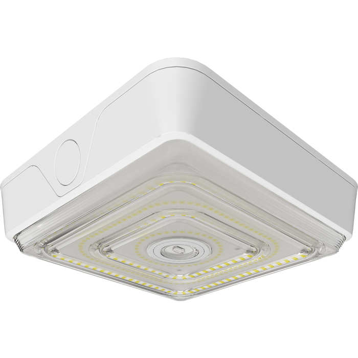RAB VAN LED Garage/Canopy Fixture Wattage/CCT Selectable 40W/30W/20W 3000K/4000K/5000K Adjustable Optics 120-277V White (VAN40W)