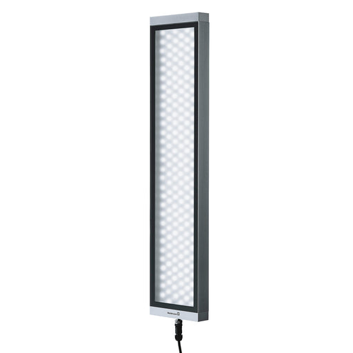 Waldmann 50W LED Area Light Fixture With Rear Connection ECO MODE 24V (112574001-00511140)