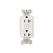 Wattstopper 20-Amp White Dual Controlled Receptacle (WRC-20-2-W)
