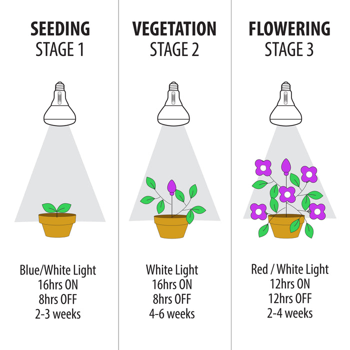 Feit Electric 9W Multi Spectrum BR30 Adjustable LED Grow Light (BR30ADJ/GRW/LED/HDRP)