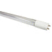 Westgate Manufacturing 2 Foot LED T8-EZ5 Glass Tube Lamps 8W 1000Lm 4000K 120-277V (T8-EZ5-GS-2FT-8W-40K-C)