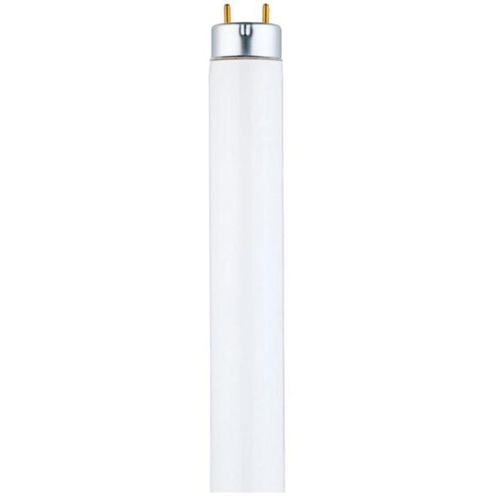 Westinghouse 32W T8 Linear Fluorescent Cool White Medium Bi-Pin Base Sleeve (3741300)