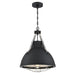Westinghouse Bartley 1-Light Indoor Pendant Matte Black Finish With Dark Pewter Accents and Cage Shade (6116300)