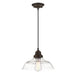 Westinghouse Iron Hill 1-Light Indoor Pendant Oil Rubbed Bronze Finish With Highlights And Clear Seeded Glass (6116600)