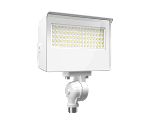 RAB X22 LED Flood Field Adjustable 35W/30W/25W/20W 3000K/4000K/5000K 7H6V Knuckle Mount With Yoke Kit Photocell White (X22-35W)