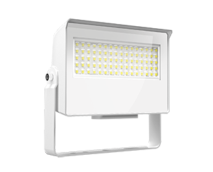 RAB X22 LED Flood Field Adjustable 35W/30W/25W/20W 3000K/4000K/5000K 7H6V Knuckle Mount With Yoke Kit Photocell White (X22-35W)