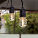 Feit Electric 24 Foot 12W Soft White 2200K LED S14 String Lights (SL24-12/FIL/REM)